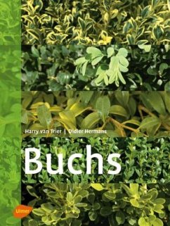 Buchs - Hermans;Trier, Harry van