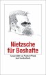 Nietzsche für Boshafte - Bild 1