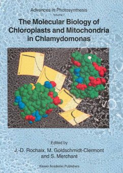The Molecular Biology of Chloroplasts and Mitochondria in Chlamydomonas - Rochaix, J.-D. / Goldschmidt-Clermont, M. / Merchant, S. (Hgg.)