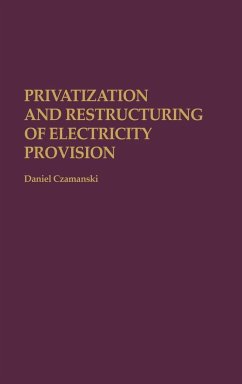 Privatization and Restructuring of Electricity Provision - Czamanski, Daniel