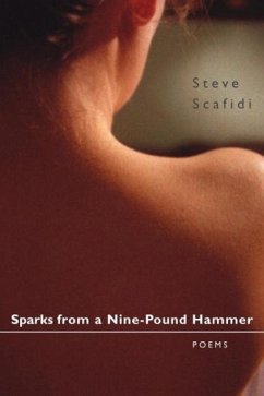 Sparks from a Nine-Pound Hammer - Scafidi, Steve
