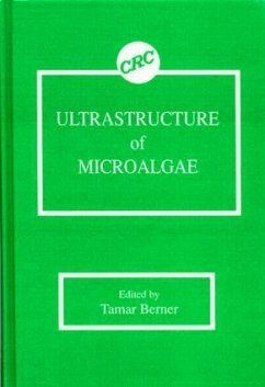 Ultrastructure of Microalgae - Berner, Tamar