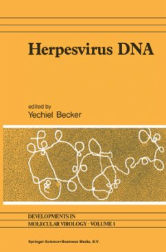 Herpesvirus DNA - Becker, Y. (Hrsg.)