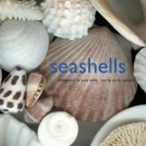 Seashells