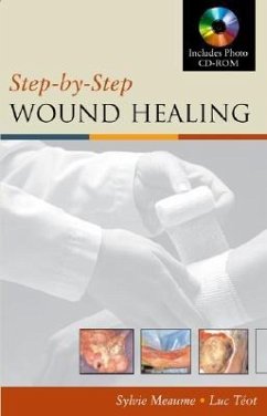 Step-By-Step Wound Healing - Meaume, Sylvie; Teot, Luc
