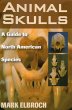 Animal Skulls - Bild 1