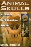 Animal Skulls: A Guide to North American Species