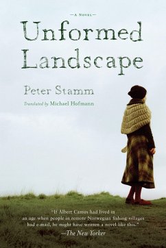 Unformed Landscape - Stamm, Peter
