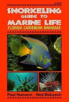 Snorkeling Guide to Marine Life Florida, Caribbean, Bahamas - Humann, Paul; Deloach, Ned