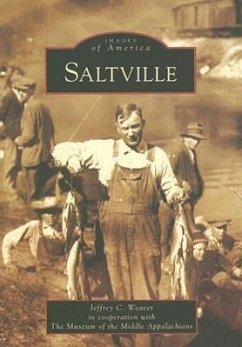 Saltville - Weaver, Jeffrey C.; The Museum of the Middle Appalachians