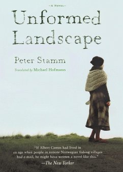 Unformed Landscape - Stamm, Peter