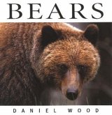 Bears Bears