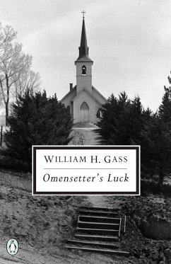 Omensetter's Luck - Gass, William H.