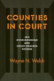 Counties in Court