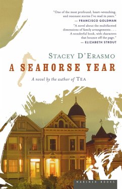 A Seahorse Year - D'Erasmo, Stacey