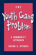 The Youth Gang Problem - Bild 1