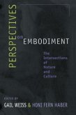 Perspectives on Embodiment