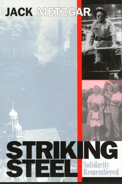Striking Steel: Solidarity Remembered - Metzgar, Jack