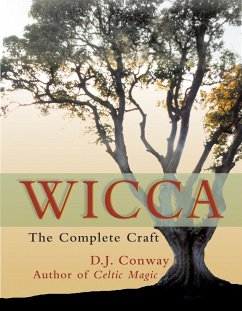 Wicca - Conway, D J