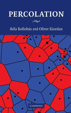 Percolation - Bollobas, Bela; Riordan, Oliver