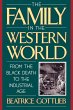 The Family in the Western World from... - Bild 1