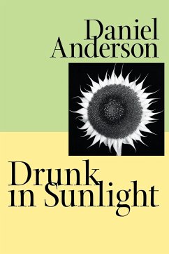 Drunk in Sunlight - Anderson, Daniel