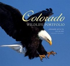 Colorado Wildlife Portfolio - Kline