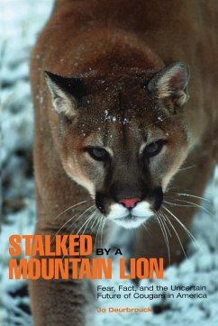 Stalked by a Mountain Lion - Deurbrouck, Jo