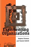 Experiencing Organizations Experiencing Organizations