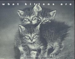 What kittens are