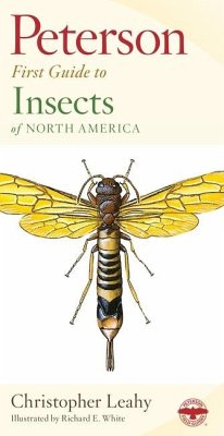 Peterson First Guide to Insects - White, Richard E