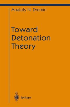 Toward Detonation Theory - Dremin, Anatoly N.