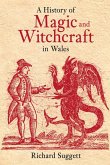 A History of Magic and Witchcraft in Wales