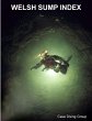 Welsh Sump Index - Bild 1