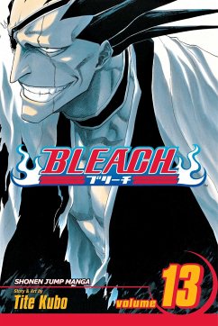 Bleach, Vol. 13 - Kubo, Tite