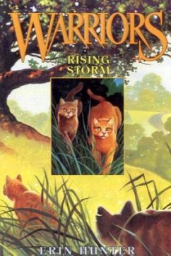 Cover Warriors, Rising Storm
