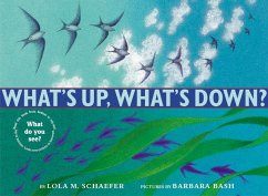 What's Up, What's Down? - Schaefer, Lola M