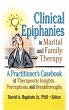 Clinical Epiphanies in Marital and... - Bild 1