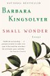 Small Wonder - Bild 1