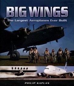 Big Wings - Kaplan, Philip