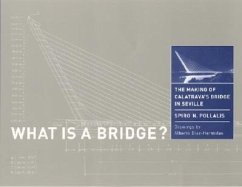 What Is a Bridge?: The Making of Calatrava's Bridge in Seville - Pollalis, Spiro N.
