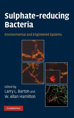 Sulphate-Reducing Bacteria - Barton, Larry L. / Hamilton, W. Allan (eds.)