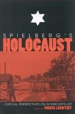 Spielberg S Holocaust