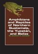 Amphibians and Reptiles of Northern... - Bild 1