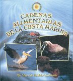 Cadenas Alimentarias de la Costa Marina (Seashore Food Chains)