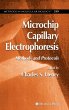 Microchip Capillary Electrophoresis - Bild 1