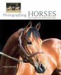 Photographing Horses - Bild 1