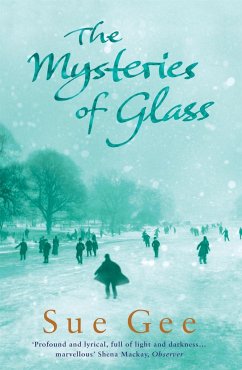 The Mysteries of Glass - Gee, Sue