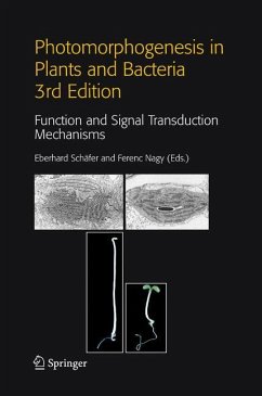 Photomorphogenesis in Plants and Bacteria - Schäfer, Eberhard / Nagy, Ferenc (Hgg.)