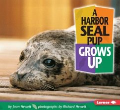 A Harbor Seal Pup Grows Up - Hewett, Joan